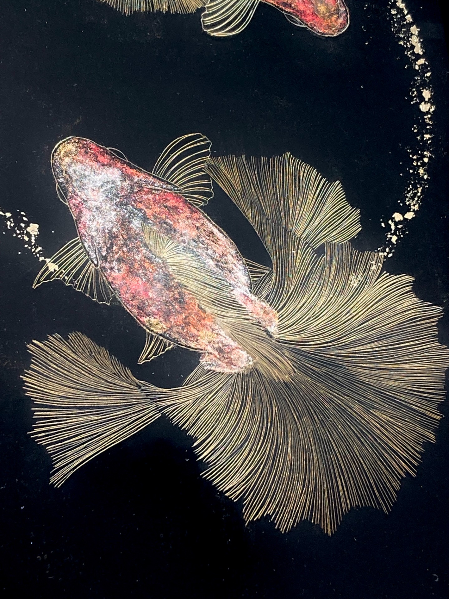環 －煌灯金魚