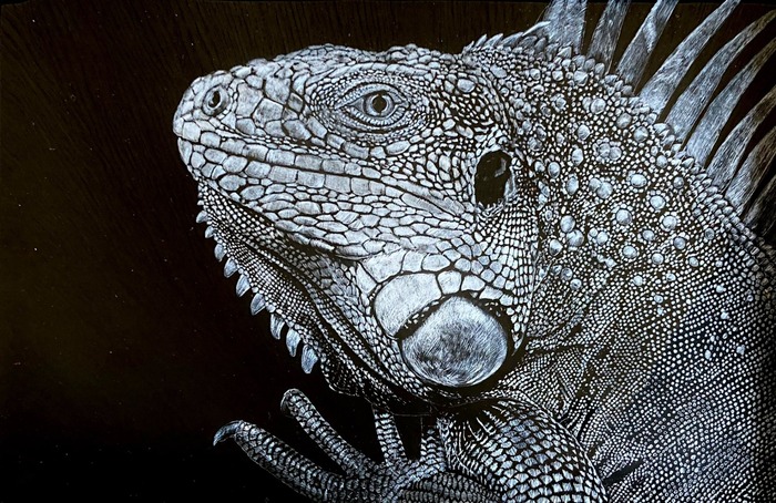 FPuODQJacAMLhzm.jpg?ph=0befa3a319