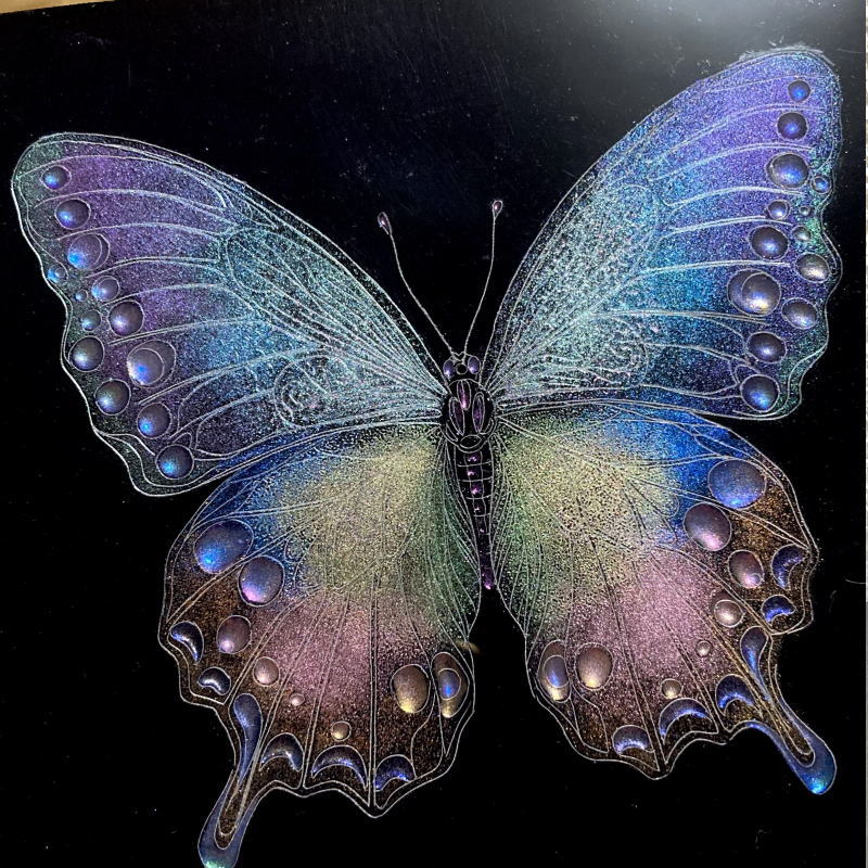 女性の顔と蝶のアートプリント レジンアート Amazon.co.jp: 動物の蝶の 絵画キャンバスの写真装飾絵画クラフト