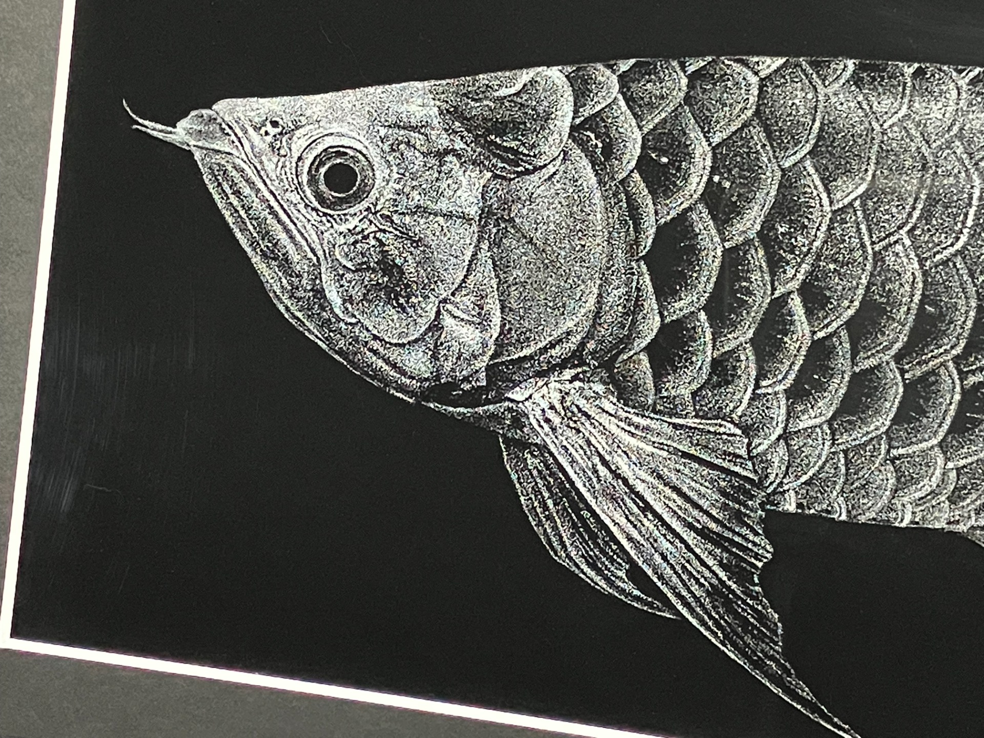 絵画 アロワナアクリルガッシュイラストレーション絵画 アロワナ