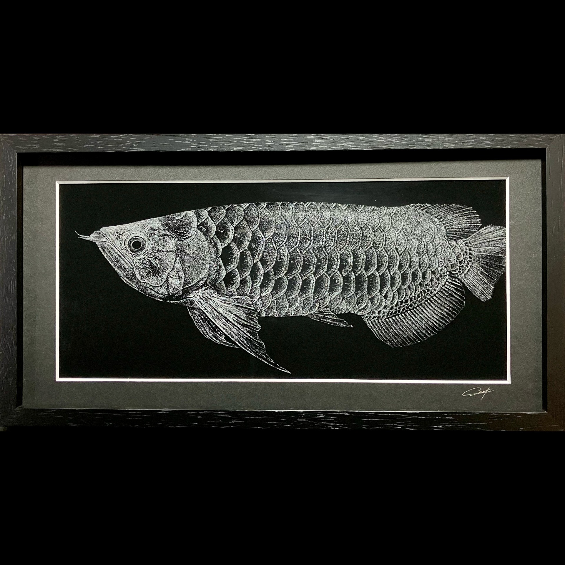 monochromeー龍魚